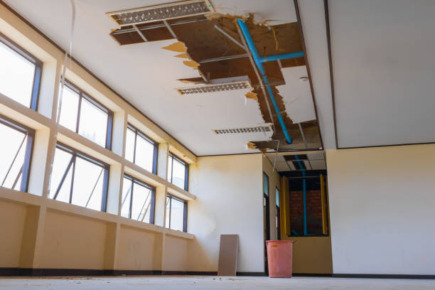 Best Water damage restoration specialists  in Skagway, AK