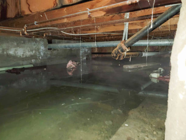 Water damage restoration mold remediation in Skagway, AK
