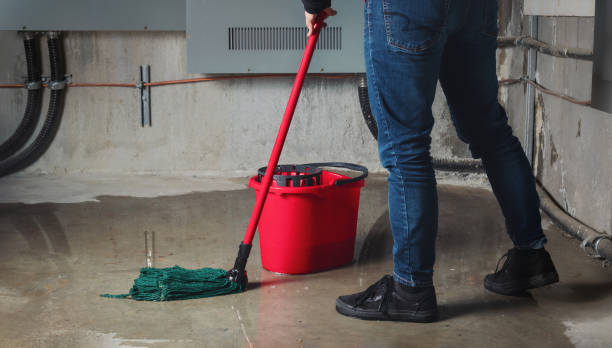 Best Water damage cleanup near me  in Skagway, AK