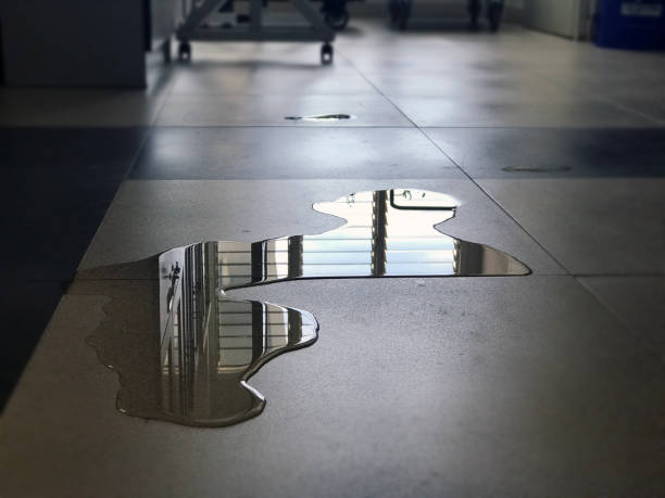 Professional Water damage restoration in Skagway, AK