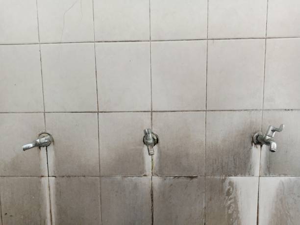 Best Flood damage cleanup  in Skagway, AK