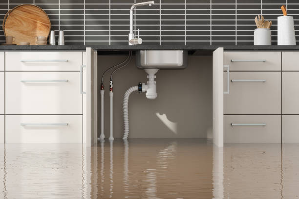Best Emergency water damage restoration  in Skagway, AK